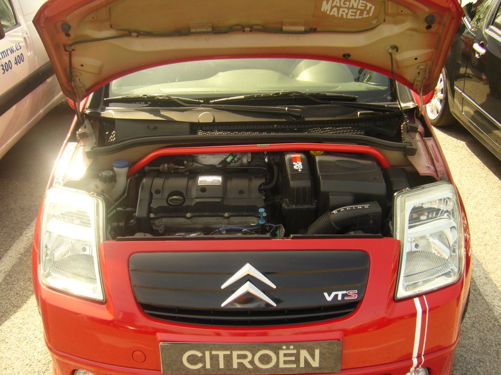 Macro-KDD-Citroen-2009-234.jpg